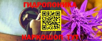 бутират Кингисепп