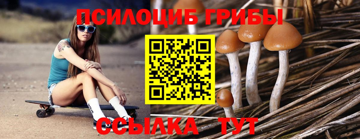 Псков  Галлюциногенные грибы Magic Shrooms  Галлюциногенные грибы Psilocybe  дарнет шоп  Вход с VPN 